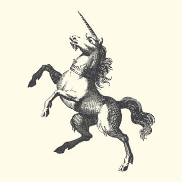 Unicorn rearing up graphic illustration mythical creature majestic illustration engraving stylized blackandwhite monochrome folklore symbolic linedrawing graphicresource category