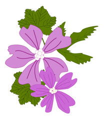 Malva viola stilizzata, grafica floreale decorativa © sommaria