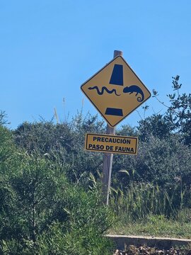 Precauci&oacute;n paso de fauna en Calblanque (Murcia)