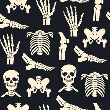 Different body parts. Human skeleton, foot, pelvis, arm, skull, chest, knee, ribs. Bone injury, medical scanning, checkup, hospital concept. Hand drawn Vector illustration. Square seamless Pattern