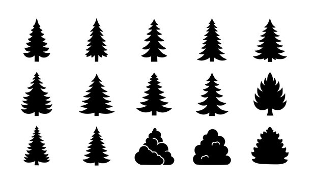 Minimal pine tree silhouette set vector conifer forest icons black simple collection