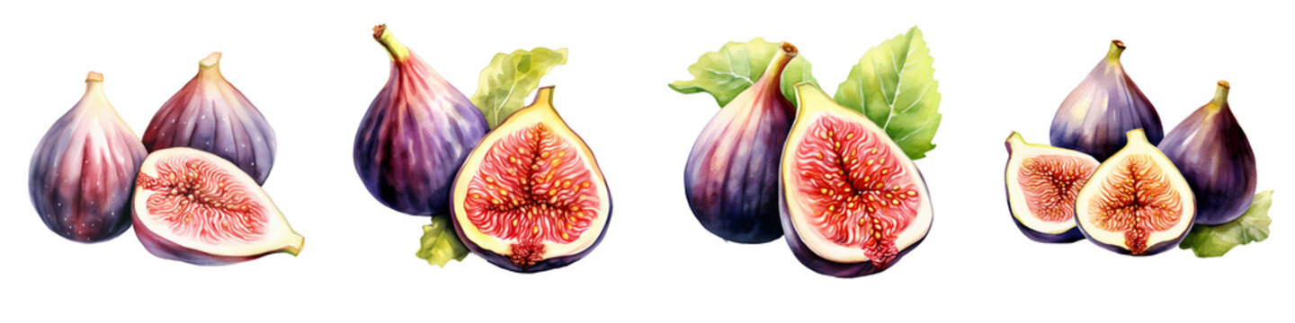 Delicious figs with leaves in watercolor isolated on black background