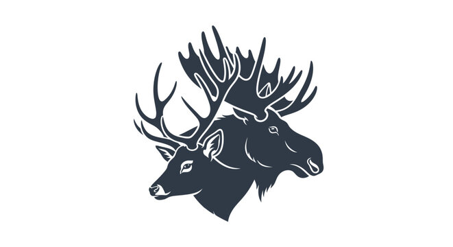 Elk Heads with Large Antlers Sideways.