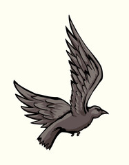 Obraz premium Vector drawing. Big flying bird