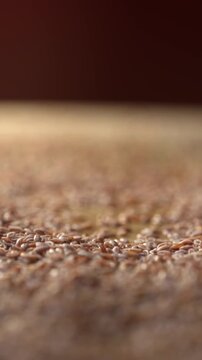 Macro dolly shot of psyllium seeds