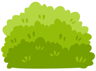 Fototapeta premium Garden green bush. Green bush and grass element.