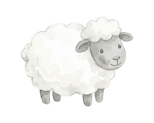 Obraz premium Cute watercolor illustration of a fluffy sheep standing.