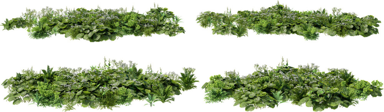 A small garden decorated with many plants on a transparent background.