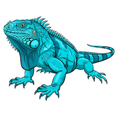 Obraz premium Blue iguana premium flat vector