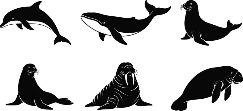 marine mammals silhouette vector set featuring dolphin whale seal sea lion walrus and manatee icons isolated on white background