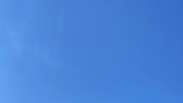 Single bird gracefully soaring and flapping its wings against a vast, clear blue sky. Symbol of freedom, nature, and tranquility in Demanovska Dolina, Slovakia