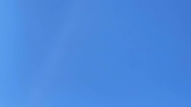 Camera tilting down from vibrant green tree leaves on a sunny day, revealing a vast, clear blue sky with ample copy space in Demanovska Dolina, Slovakia