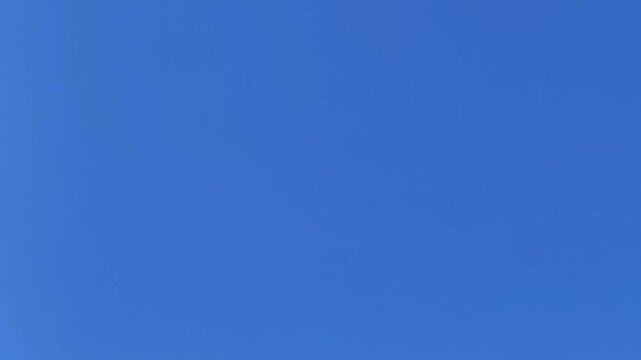 Single bird flying high in a beautiful, vivid blue sky with no clouds. The animal soars freely in the empty expanse of the atmosphere in Demanovska Dolina, Slovakia