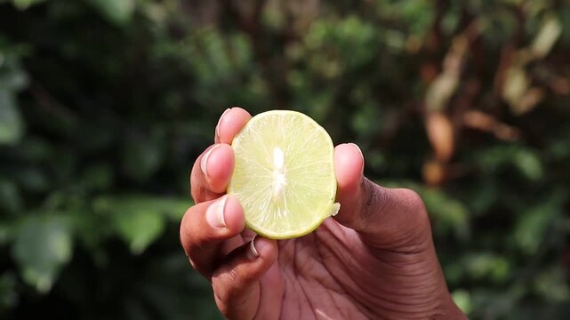 Squeezing a freshly cut lime held in the hand exposed to outdoor sunlight