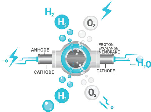 Hydrogen fuel cell diagram anode cathode membrane with chemical reacti