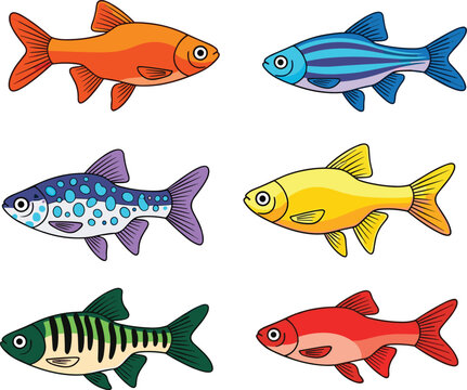 Tropical Aquarium Fish Set with Colorful Barb and Danio Species Isolated on White
