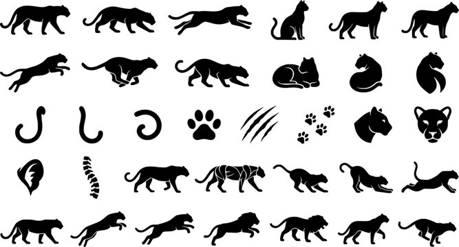 Set of minimalist cat and panther line art illustrations in vari
