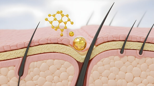 Dermatological 3D rendering of skin layers with an active gold molecule serum capsule penetrating and treating a hair follicle for cosmetic health
