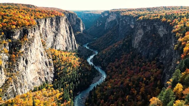 Stunning aerial view of a river cutting through a deep canyon surrounded by vibrant autumn foliage