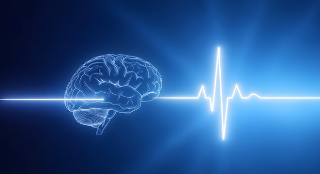 Human brain and ECG heartbeat signal on blue background