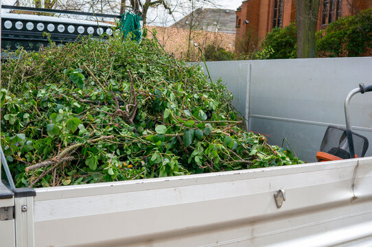 Caretaker service car with green waste after a hedge trimming
