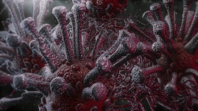 Mucormycosis or black fungus medical concept, COVID-19 complication