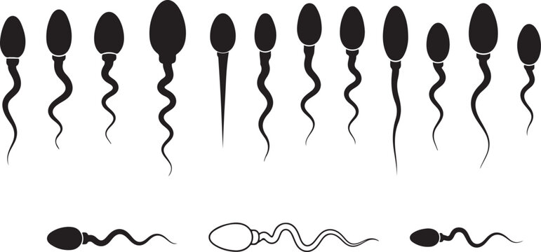 Collection of human sperm cell silhouettes in various swimming positions and shapes for reproductive biology and medical education.