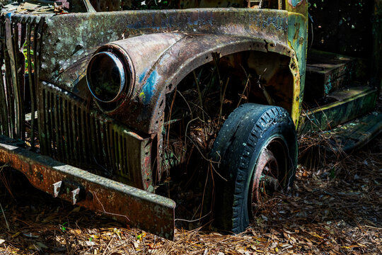 Abandoned vehicles in the Ocala forest