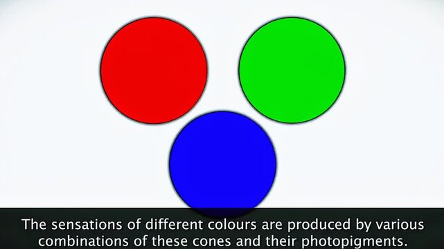 Sense and Perception of different colours