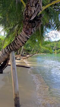 Soft waves lap against the sandy shore of Koh Kood Island. Lush palm trees create a tropical paradise, inviting relaxation and exploration. A serene escape in Thailands hidden gem.