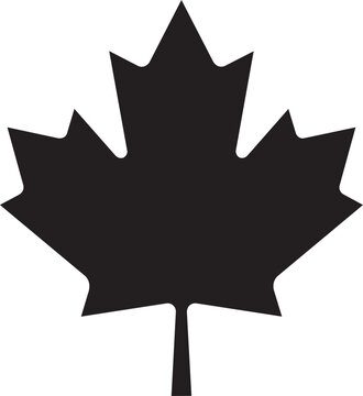 Maple Leaf Icon Bold Minimal Vector Silhouette Illustration