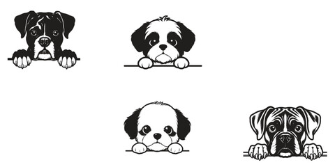 4 Cute Peeking Puppy Dog Breeds In One Picture Set © Khilal