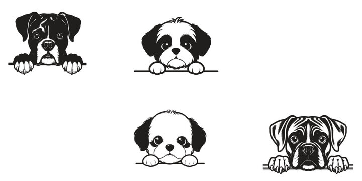 4 Cute Peeking Puppy Dog Breeds In One Picture Set