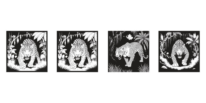 4 Fierce Leopard Jungle Stalking Scenes In One Picture Set