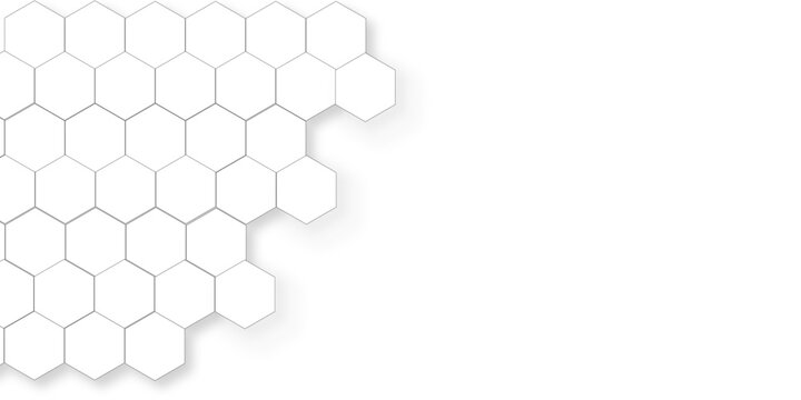 White hexagon geometric background bottom corner layout minimal clean modern design texture