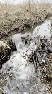 a little river flowing through a beaver dam