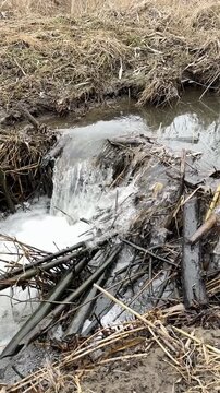 a little river flowing through a beaver dam