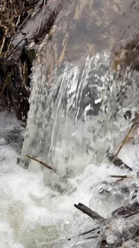 a little river flowing through a beaver dam