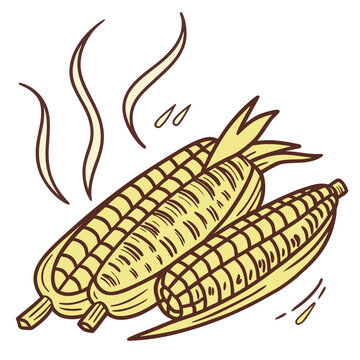 Tasty grilled corn on cob isolated on white background vector illustration