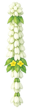 Thai Jasmine Garland Tassel (Uba), Traditional Floral Hanging Decoration, Isolated PNG