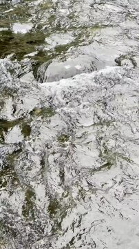reflections of trees in running water, slow motion