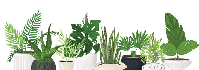 Set of indoor tropical plants in fashionable pots © Abubakkar