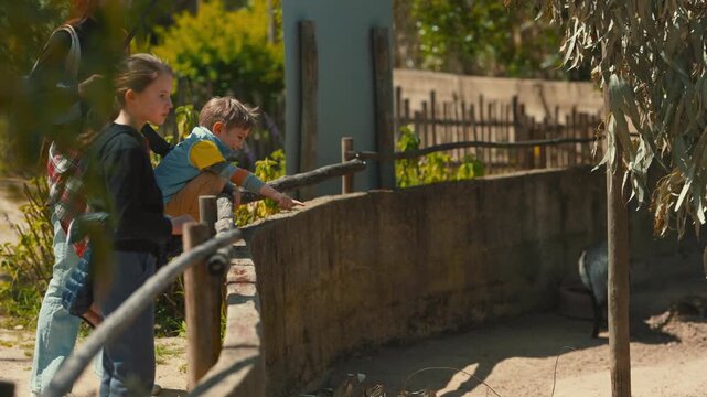 Mother and children watching animals at the zoo