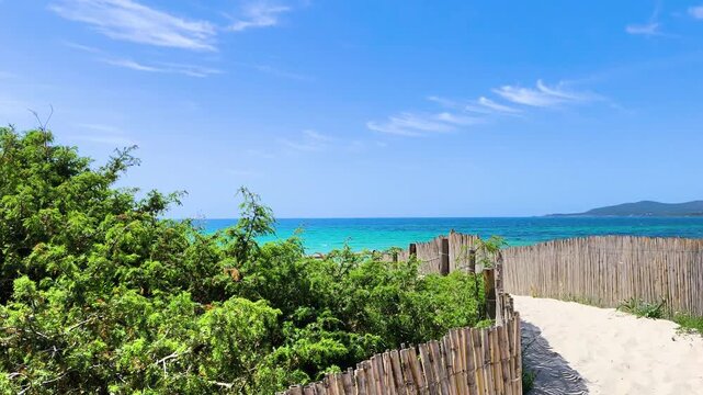 POV camera movement from juniper branches revealing turquoise sea at Maria Pia beach in Sardinia
