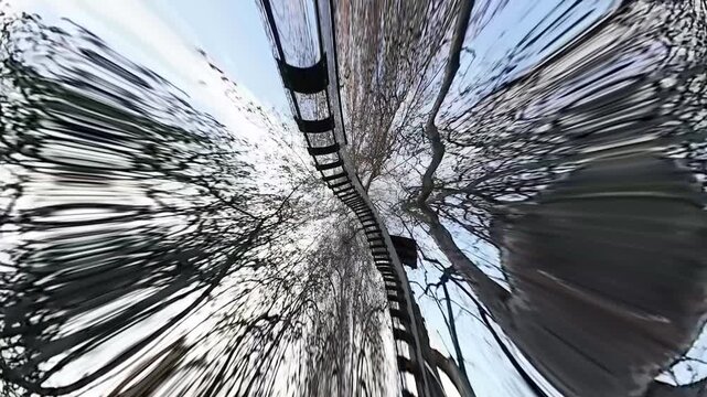 Crooked wavy naked tree branches