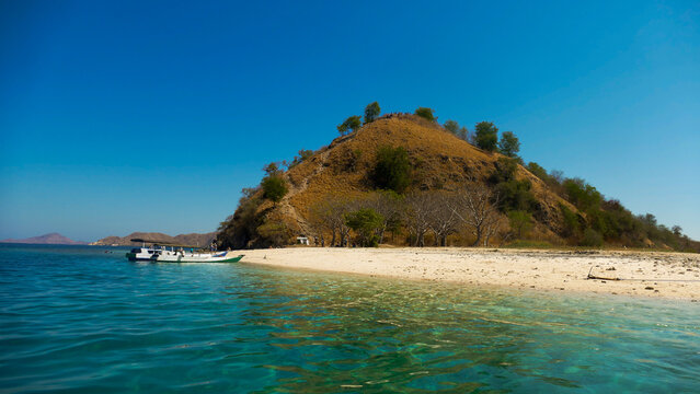 Komodo National Park: Rugged Savannas, Pink Beaches, and the Legendary Dragons