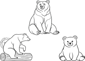 Set of Cute Bear Line Art Illustrations Featuring Sitting and Playful Bear Designs for Wildlife, Animal Icons, and Nature Projects © Sultana