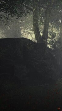 A tranquil forest setting unfolds, shrouded in mist. Gentle light filters through the trees, casting a magical glow on lush greenery and vibrant plants nestled among the rocks.