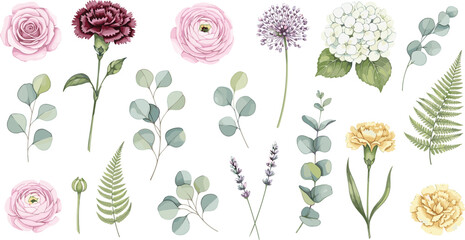 Beautiful floral collection featuring roses carnations ranunculus hydrangeas and eucalyptus leaves for romantic wedding invitations elegant spring greeting cards  © Moshaharul's World