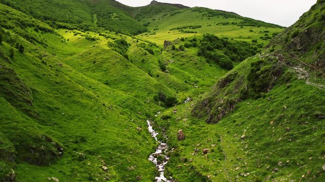 Cinematic 4K ProRes 422 drone flight following a winding mountain stream. Aerial view of a curved river in a green valley.
